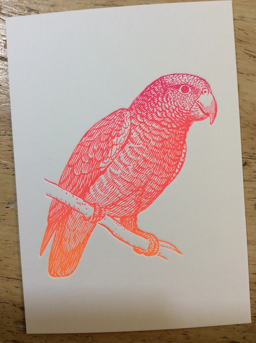 Eine aussergeöhnliche Drucktechnik: Irisdruck bei einem Druckseminar in der Werkstatt Dietz